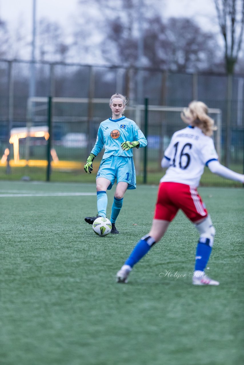 Bild 167 - wBJ HSV - F VfL Jesteburg : Ergebnis: 6:1